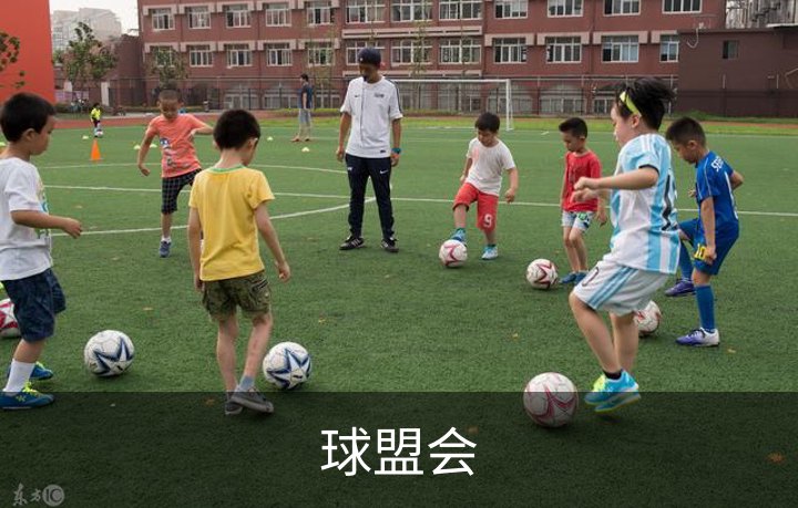 走进球盟会